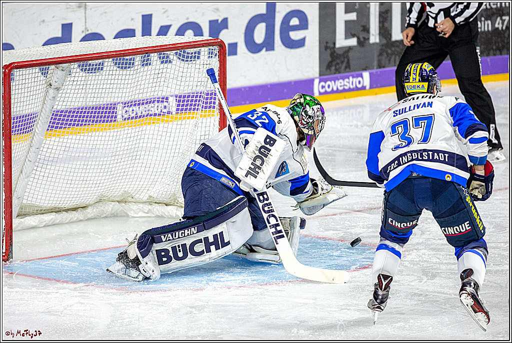DEL-Playoff; Koelner Haie - ERC Ingolstadt, 17.03.2019